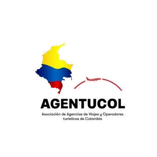 Diseño_sin_título__3_-removebg-preview